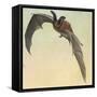 Pallid Bat-Louis Agassiz Fuertes-Framed Stretched Canvas