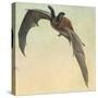 Pallid Bat-Louis Agassiz Fuertes-Stretched Canvas