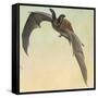 Pallid Bat-Louis Agassiz Fuertes-Framed Stretched Canvas