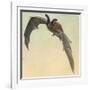 Pallid Bat-Louis Agassiz Fuertes-Framed Giclee Print