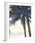 Palm 3-Megan Swartz-Framed Art Print