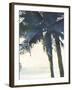 Palm 3-Megan Swartz-Framed Art Print