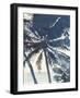 Palm 4-Megan Swartz-Framed Art Print