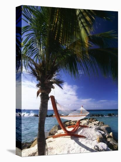 Palm and a Hammock Flamingo Beach Aruba-George Oze-Stretched Canvas