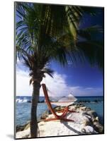 Palm and a Hammock Flamingo Beach Aruba-George Oze-Mounted Photographic Print