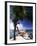 Palm and a Hammock Flamingo Beach Aruba-George Oze-Framed Photographic Print