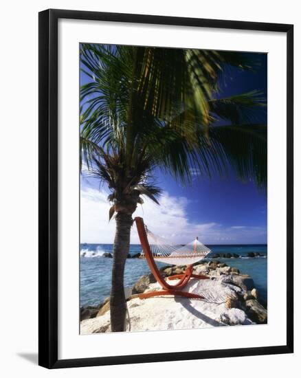 Palm and a Hammock Flamingo Beach Aruba-George Oze-Framed Photographic Print