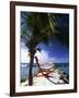Palm and a Hammock Flamingo Beach Aruba-George Oze-Framed Photographic Print