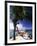 Palm and a Hammock Flamingo Beach Aruba-George Oze-Framed Photographic Print