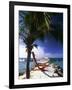 Palm and a Hammock Flamingo Beach Aruba-George Oze-Framed Photographic Print