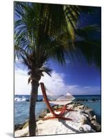 Palm and a Hammock Flamingo Beach Aruba-George Oze-Mounted Photographic Print