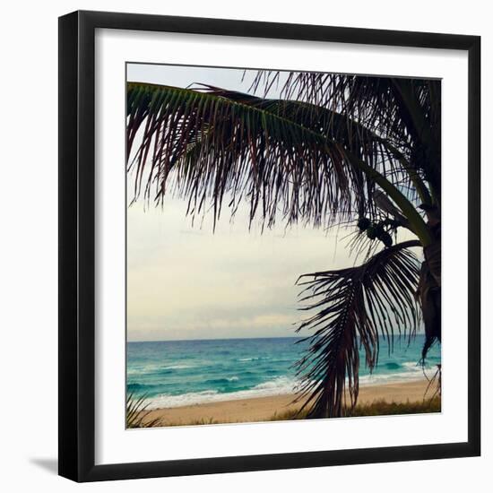 Palm and Beach-Lisa Hill Saghini-Framed Photographic Print