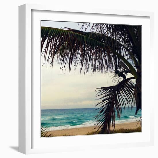 Palm and Beach-Lisa Hill Saghini-Framed Photographic Print