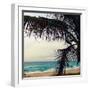 Palm and Beach-Lisa Hill Saghini-Framed Photographic Print