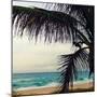 Palm and Beach-Lisa Hill Saghini-Mounted Photographic Print