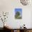 Palm and Cacti, La Palma, Canary Islands, Spain, Europe-Gerhard Wild-Stretched Canvas displayed on a wall