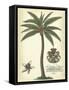 Palm and Crest I-null-Framed Stretched Canvas