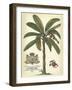 Palm and Crest II-null-Framed Art Print