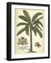 Palm and Crest II-null-Framed Art Print