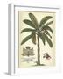 Palm and Crest II-null-Framed Art Print