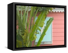 Palm and Pineapple Shutters Detail, Great Abaco Island, Bahamas-Walter Bibikow-Framed Stretched Canvas