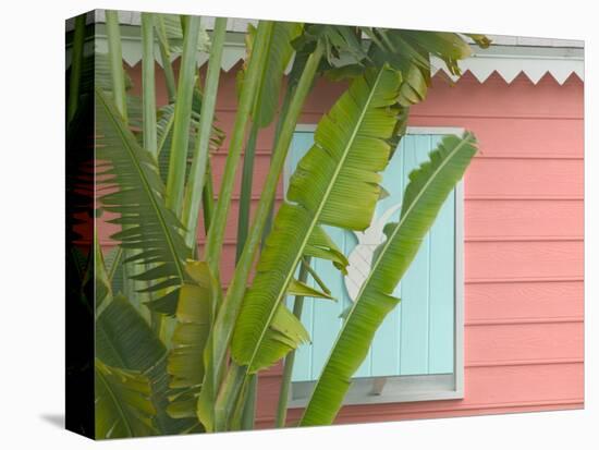 Palm and Pineapple Shutters Detail, Great Abaco Island, Bahamas-Walter Bibikow-Stretched Canvas