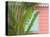 Palm and Pineapple Shutters Detail, Great Abaco Island, Bahamas-Walter Bibikow-Stretched Canvas