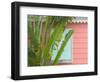 Palm and Pineapple Shutters Detail, Great Abaco Island, Bahamas-Walter Bibikow-Framed Photographic Print