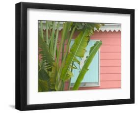 Palm and Pineapple Shutters Detail, Great Abaco Island, Bahamas-Walter Bibikow-Framed Photographic Print