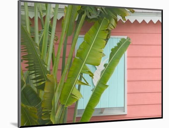 Palm and Pineapple Shutters Detail, Great Abaco Island, Bahamas-Walter Bibikow-Mounted Photographic Print