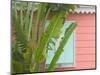 Palm and Pineapple Shutters Detail, Great Abaco Island, Bahamas-Walter Bibikow-Mounted Photographic Print