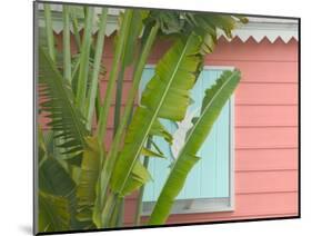 Palm and Pineapple Shutters Detail, Great Abaco Island, Bahamas-Walter Bibikow-Mounted Photographic Print