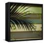 Palm and Stripes I-Patricia Pinto-Framed Stretched Canvas