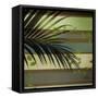 Palm and Stripes I-Patricia Pinto-Framed Stretched Canvas