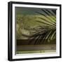 Palm and Stripes II-Patricia Pinto-Framed Art Print