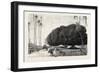 Palm and Sycamore, Thinnest and Thickest of the Trees of the Nile Valley. Egypt, 1879-null-Framed Giclee Print