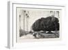 Palm and Sycamore, Thinnest and Thickest of the Trees of the Nile Valley. Egypt, 1879-null-Framed Giclee Print