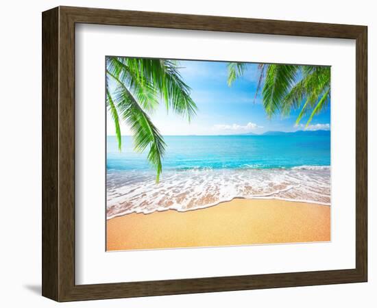 Palm and Tropical Beach-Aleksandr Ozerov-Framed Photographic Print