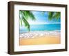 Palm and Tropical Beach-Aleksandr Ozerov-Framed Photographic Print