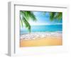 Palm and Tropical Beach-Aleksandr Ozerov-Framed Photographic Print