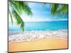 Palm and Tropical Beach-Aleksandr Ozerov-Mounted Photographic Print