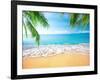 Palm and Tropical Beach-Aleksandr Ozerov-Framed Photographic Print