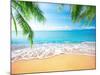 Palm and Tropical Beach-Aleksandr Ozerov-Mounted Photographic Print