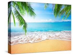 Palm and Tropical Beach-Aleksandr Ozerov-Stretched Canvas