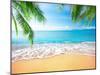 Palm and Tropical Beach-Aleksandr Ozerov-Mounted Photographic Print