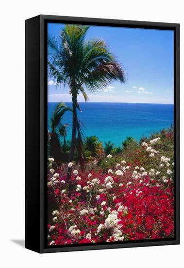 Palm and tropical Flowers-George Oze-Framed Stretched Canvas