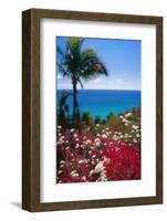 Palm and tropical Flowers-George Oze-Framed Photographic Print