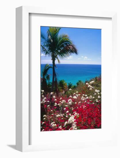 Palm and tropical Flowers-George Oze-Framed Photographic Print