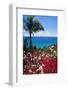 Palm and tropical Flowers-George Oze-Framed Photographic Print