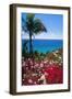Palm and tropical Flowers-George Oze-Framed Photographic Print
